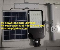 Lampu PJU LED Solar Panel 100 Watt